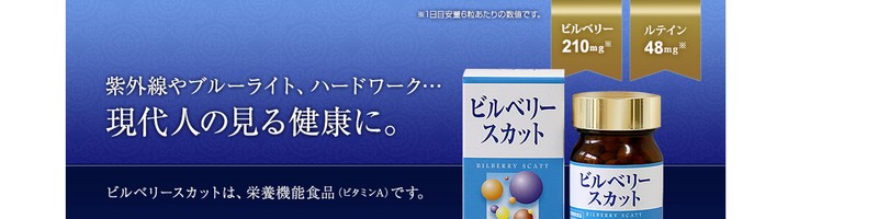 �r���x���[�X�J�b�g���T�C�g